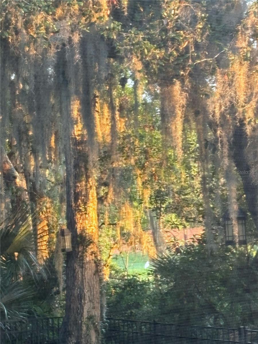 Sanford, Florida, 32771, United States, 5 Bedrooms Bedrooms, ,5 BathroomsBathrooms,Residential,Active,2017886