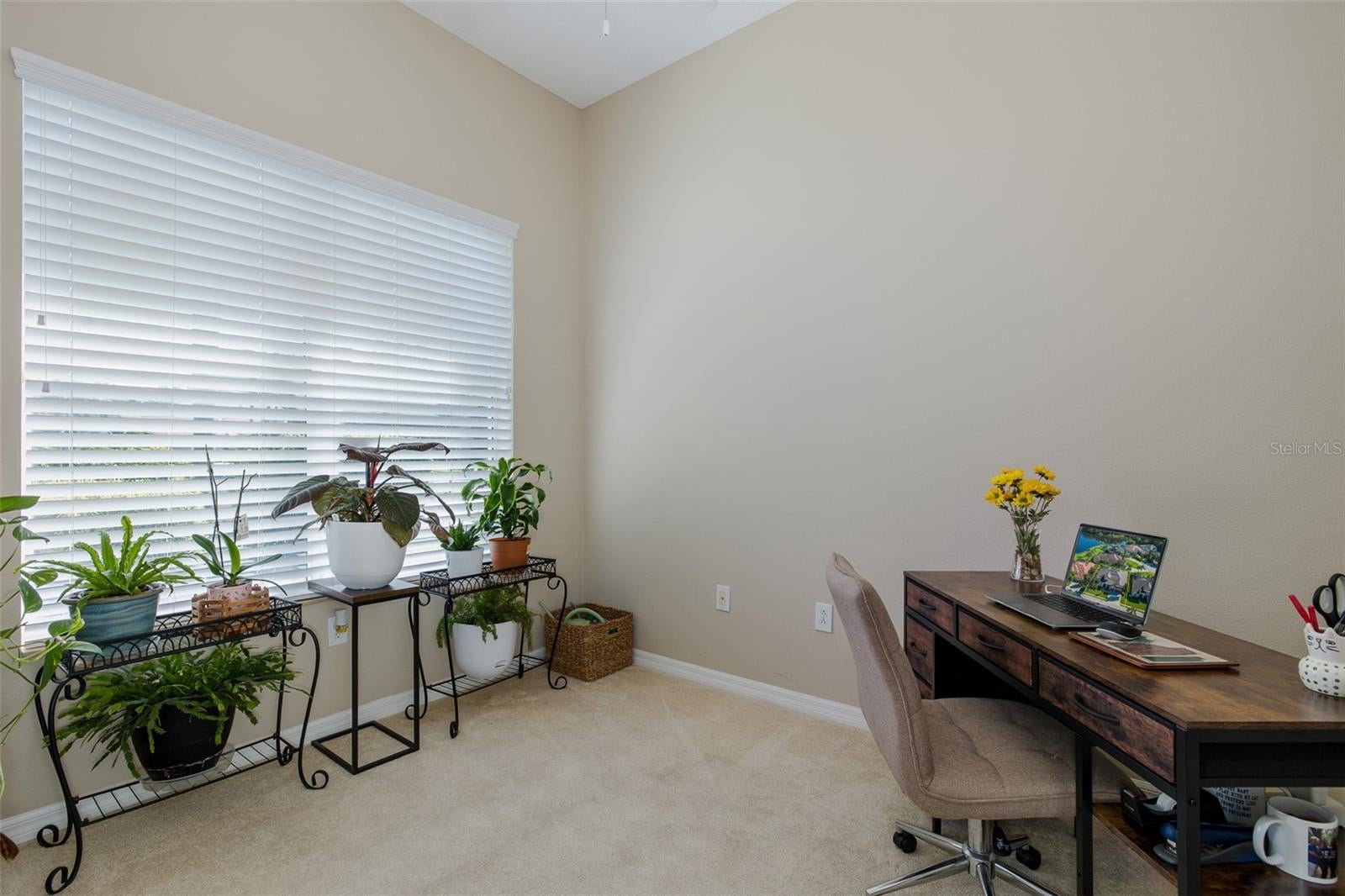 Trinity, Florida, 34655, United States, 5 Bedrooms Bedrooms, ,4 BathroomsBathrooms,Residential,Active,1922329