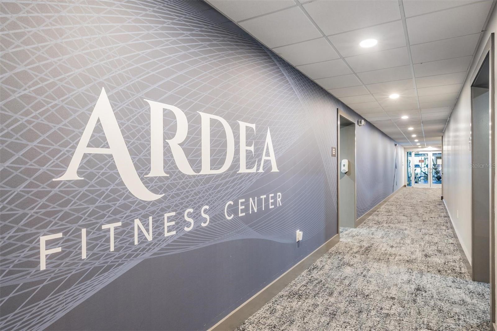 Oldsmar, Florida, 34677, United States, 5 Bedrooms Bedrooms, ,4 BathroomsBathrooms,Residential,Active,1946542