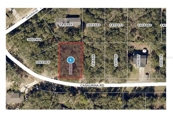 CASAURINA RD, LADY LAKE, FL 32159 - Image 1