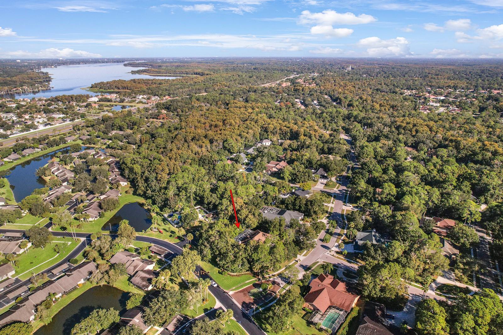 Oldsmar, Florida, 34677, United States, 5 Bedrooms Bedrooms, ,4 BathroomsBathrooms,Residential,Active,2009416