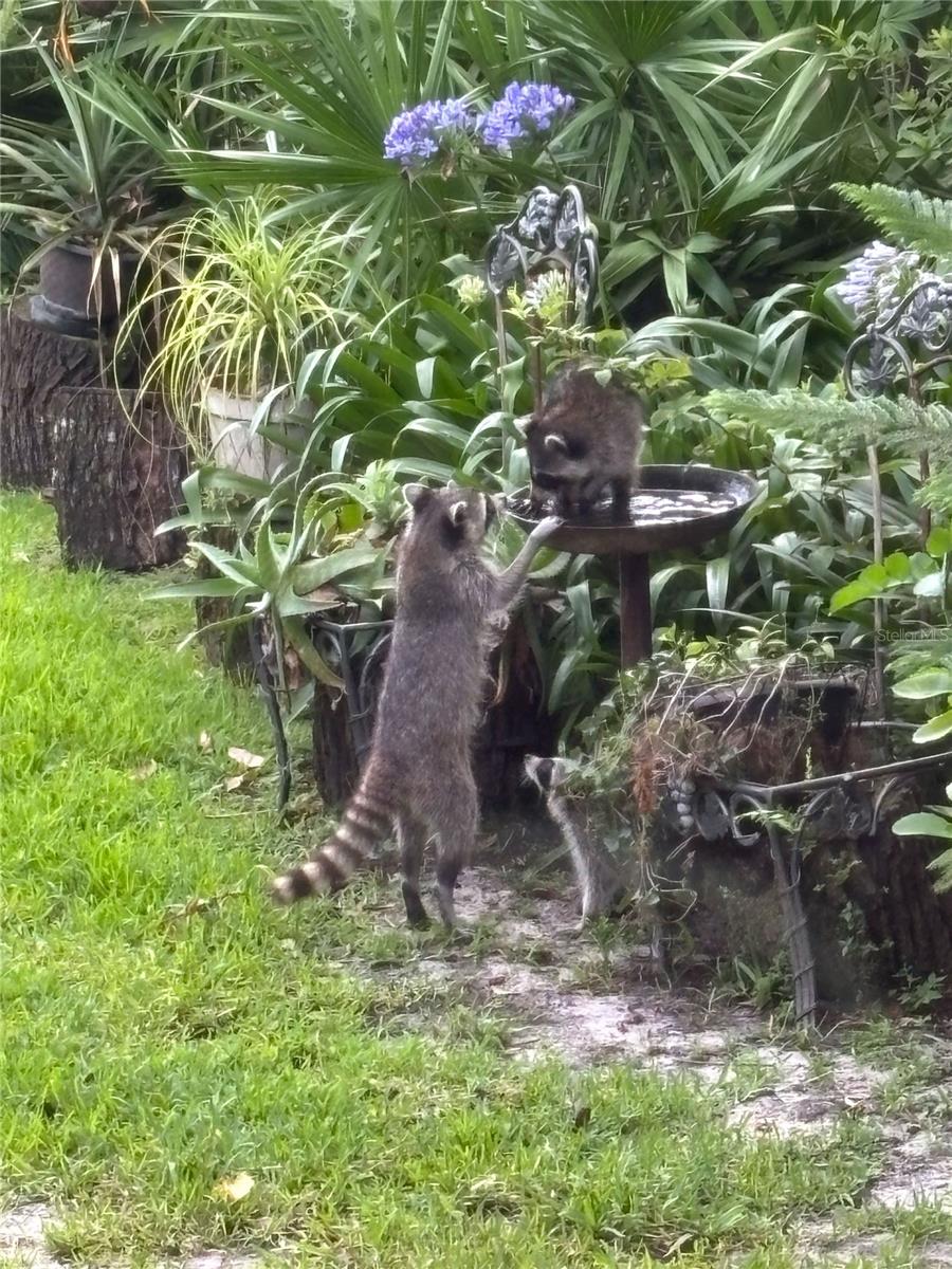 Sanford, Florida, 32771, United States, 5 Bedrooms Bedrooms, ,5 BathroomsBathrooms,Residential,Active,2017886