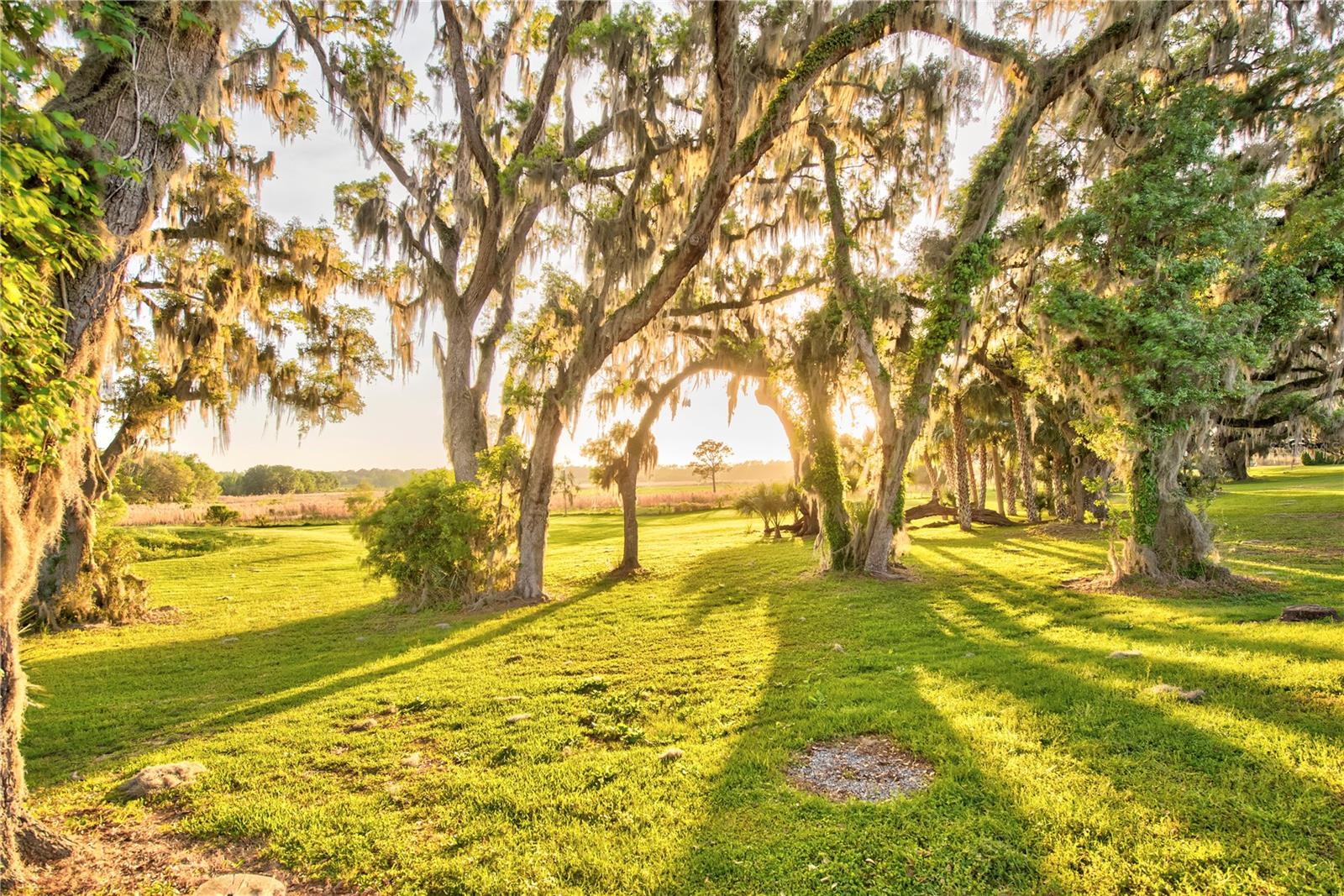 Gainesville, Florida, 32608, United States, 4 Bedrooms Bedrooms, ,3 BathroomsBathrooms,Residential,Active,1989761