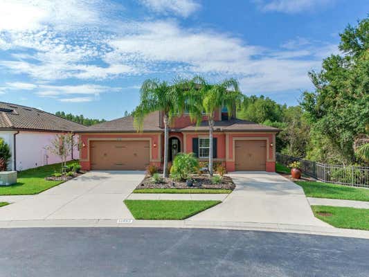 31982 BOURNEVILLE TER, WESLEY CHAPEL, FL 33543 - Image 1