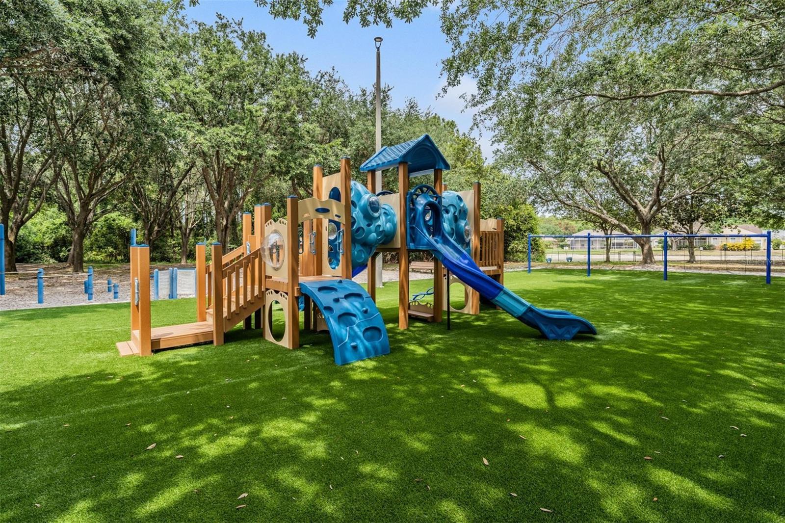 Palm Harbor, Florida, 34685, United States, ,4 BathroomsBathrooms,Residential,Active,1810371