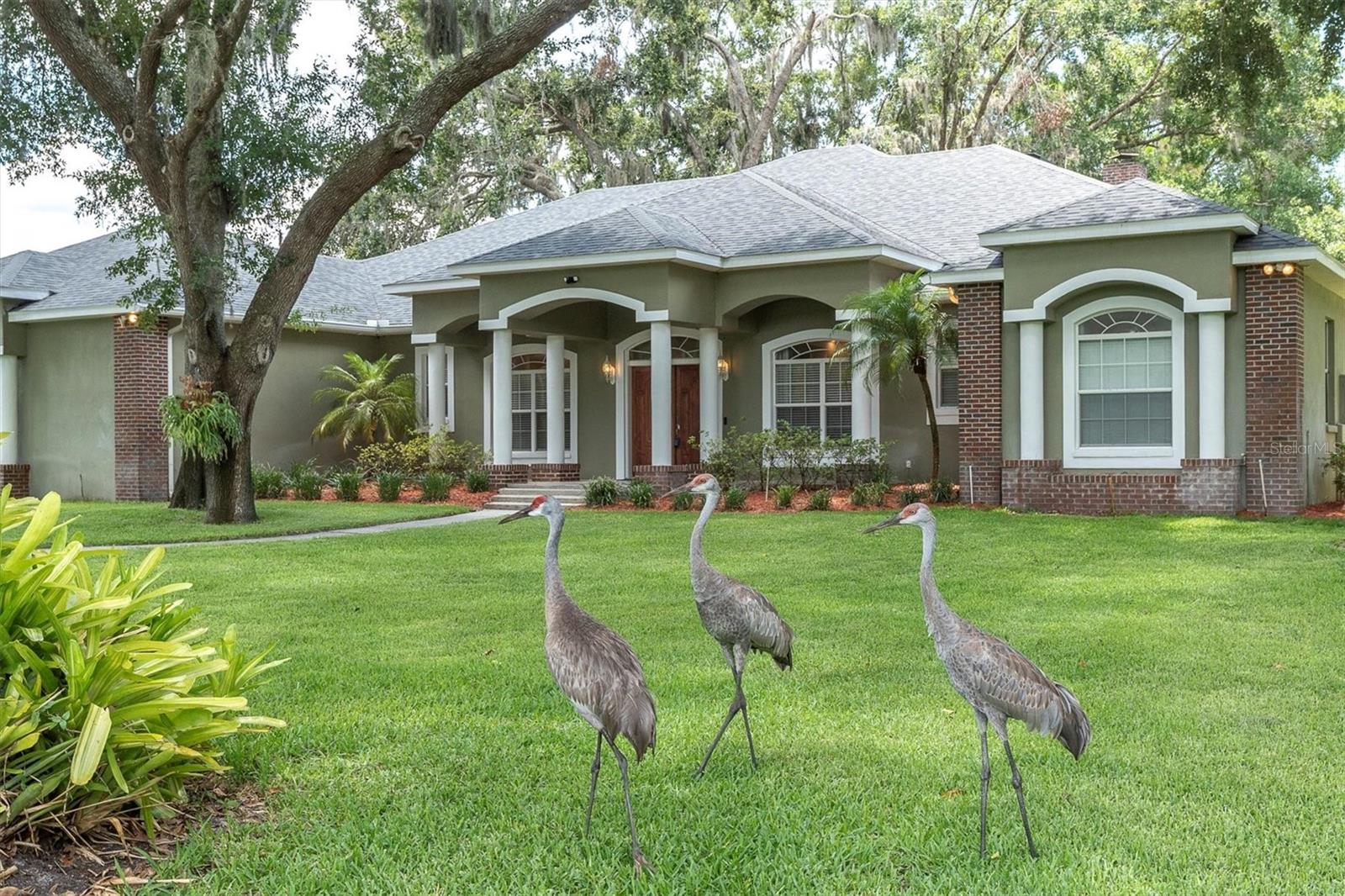 Odessa, Florida, 33556, United States, 4 Bedrooms Bedrooms, ,3 BathroomsBathrooms,Residential,Active,1871641