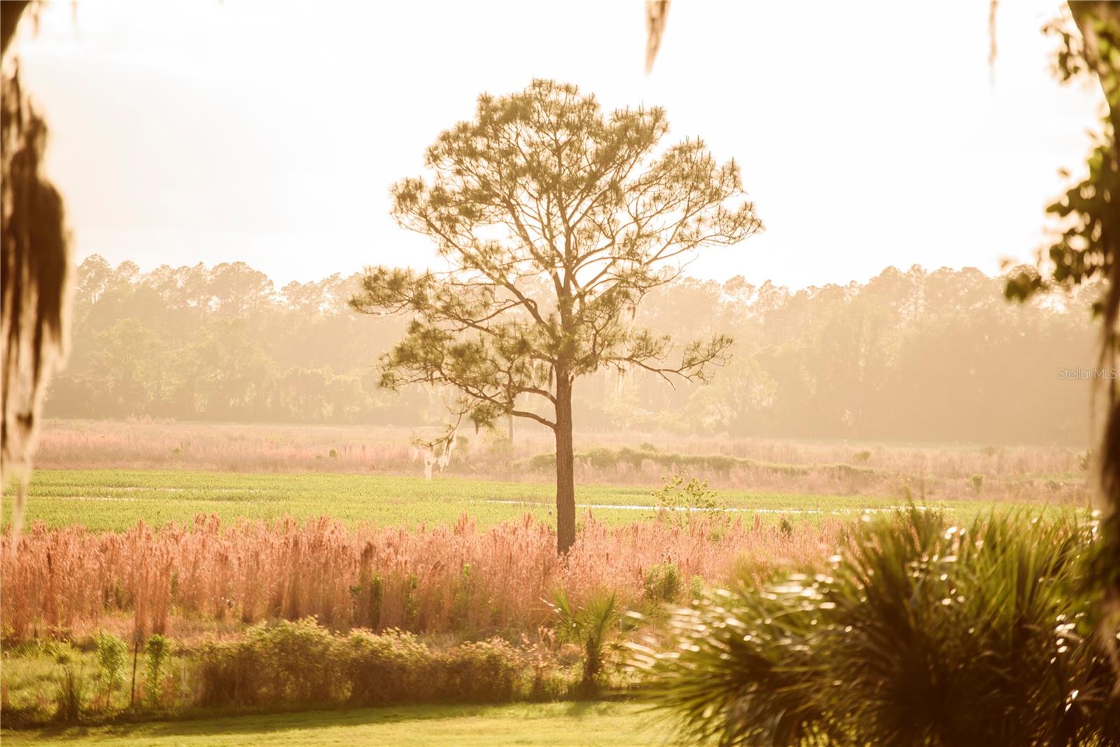 Gainesville, Florida, 32608, United States, 4 Bedrooms Bedrooms, ,3 BathroomsBathrooms,Residential,Active,1989761