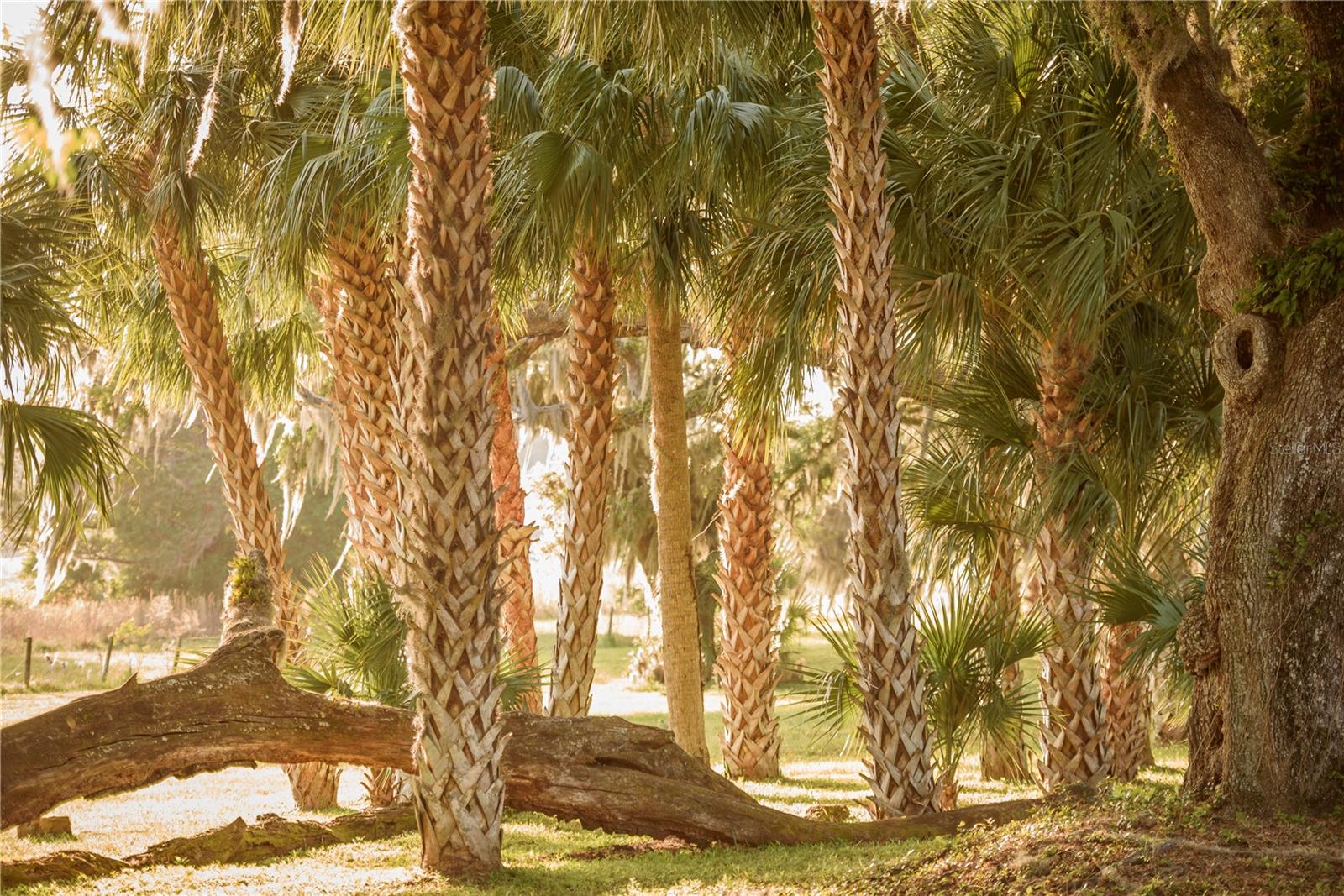 Gainesville, Florida, 32608, United States, 4 Bedrooms Bedrooms, ,3 BathroomsBathrooms,Residential,Active,1989761