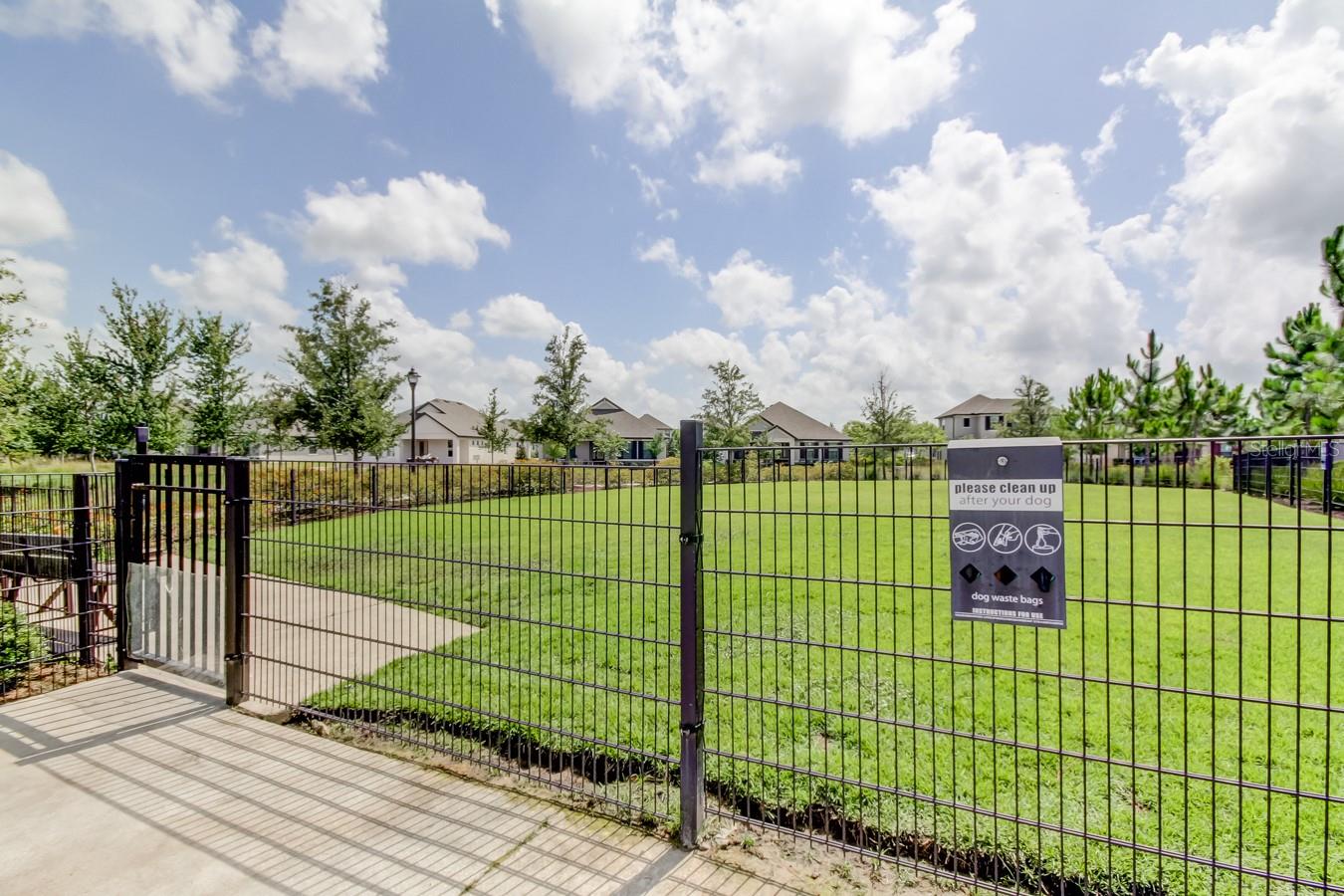 Odessa, Florida, 33556, United States, 4 Bedrooms Bedrooms, ,3 BathroomsBathrooms,Residential,Active,1877812