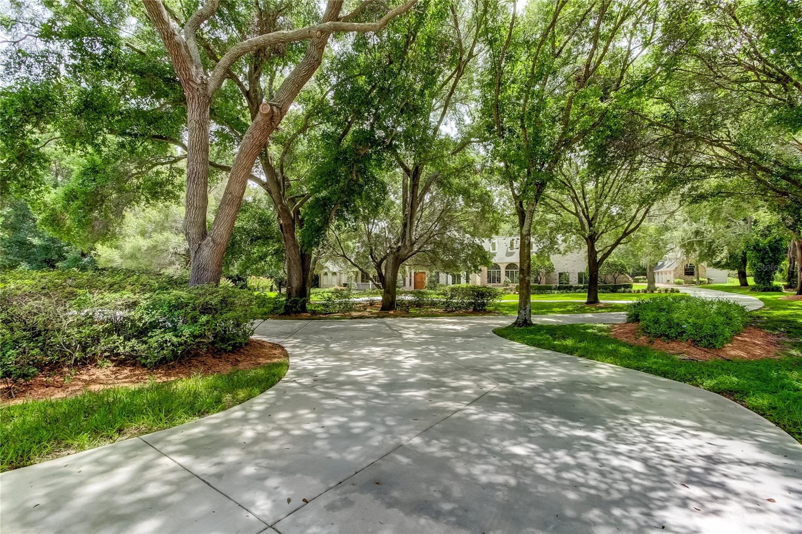 Palm Harbor, Florida, 34683, United States, ,7 BathroomsBathrooms,Residential,Active,1701802