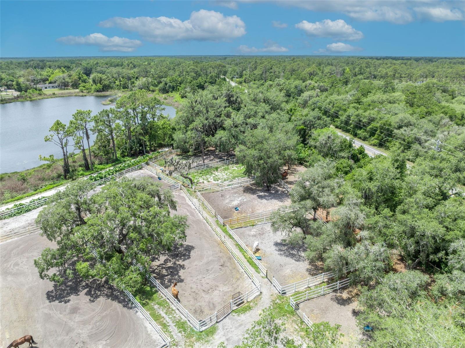 Geneva, Florida, 32732, United States, 5 Bedrooms Bedrooms, ,4 BathroomsBathrooms,Residential,Active,2044197