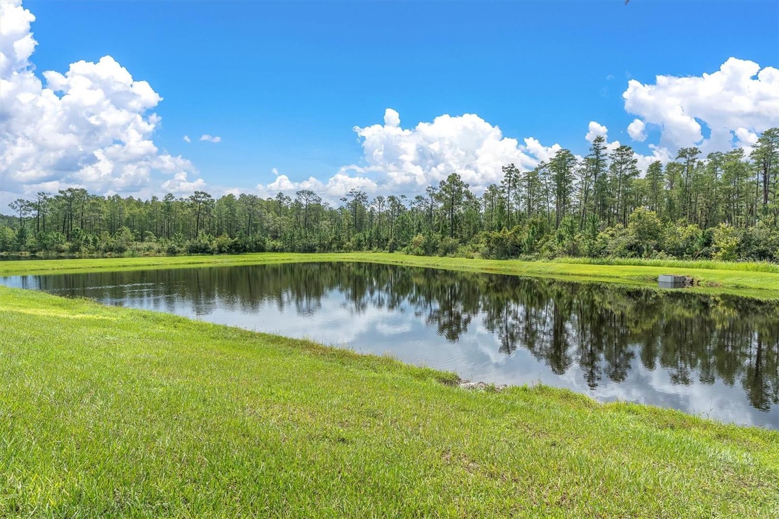 Odessa, Florida, 33556, United States, 5 Bedrooms Bedrooms, ,5 BathroomsBathrooms,Residential,Active,1927675
