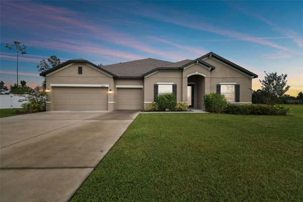 10423 CRESTVIEW HEIGHTS AVE, THONOTOSASSA, FL 33592 - Image 1