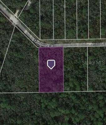 33410 TOMBSTONE ST, WEBSTER, FL 33597 - Image 1