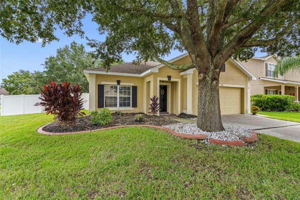 6118 BLUE SAGE DR, LAND O LAKES, FL 34639 - Image 1