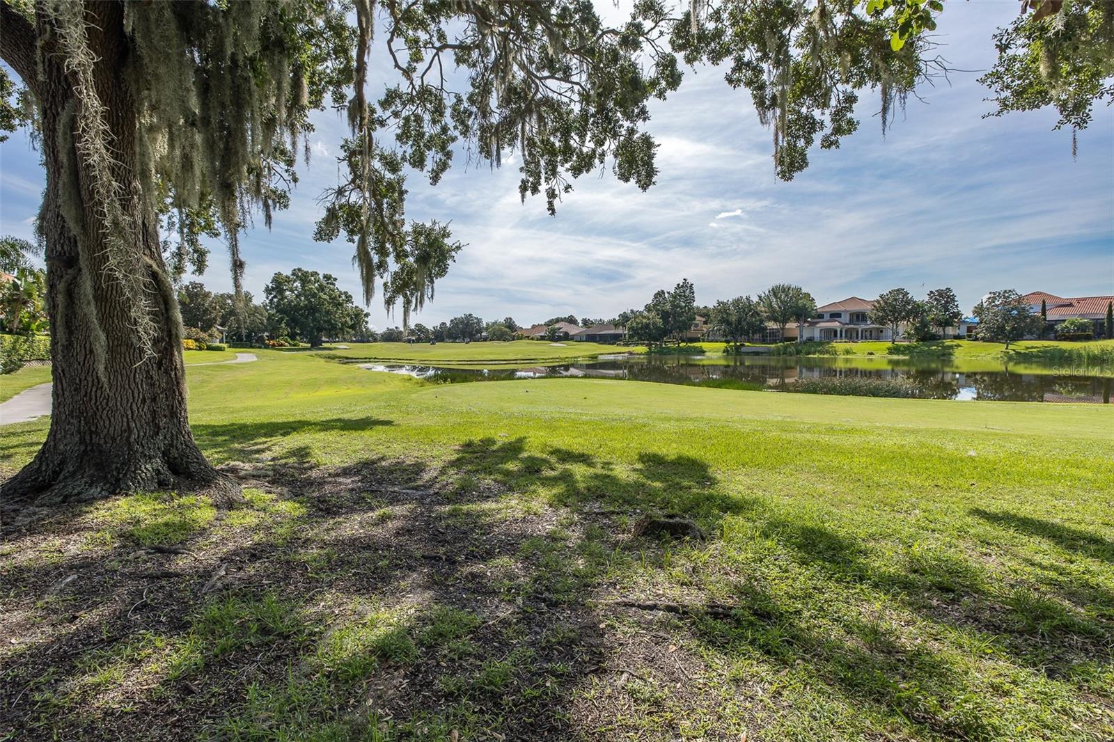 Trinity, Florida, 34655, United States, 4 Bedrooms Bedrooms, ,4 BathroomsBathrooms,Residential,Active,1892429