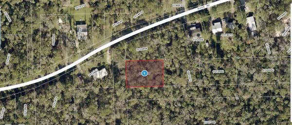 RIVER RD, ASTOR, FL 32102 - Image 1