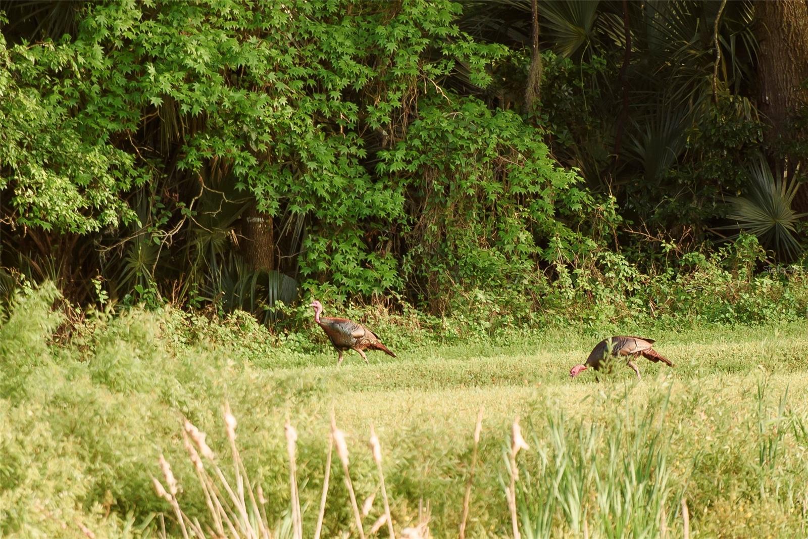 Gainesville, Florida, 32608, United States, 4 Bedrooms Bedrooms, ,3 BathroomsBathrooms,Residential,Active,1989761