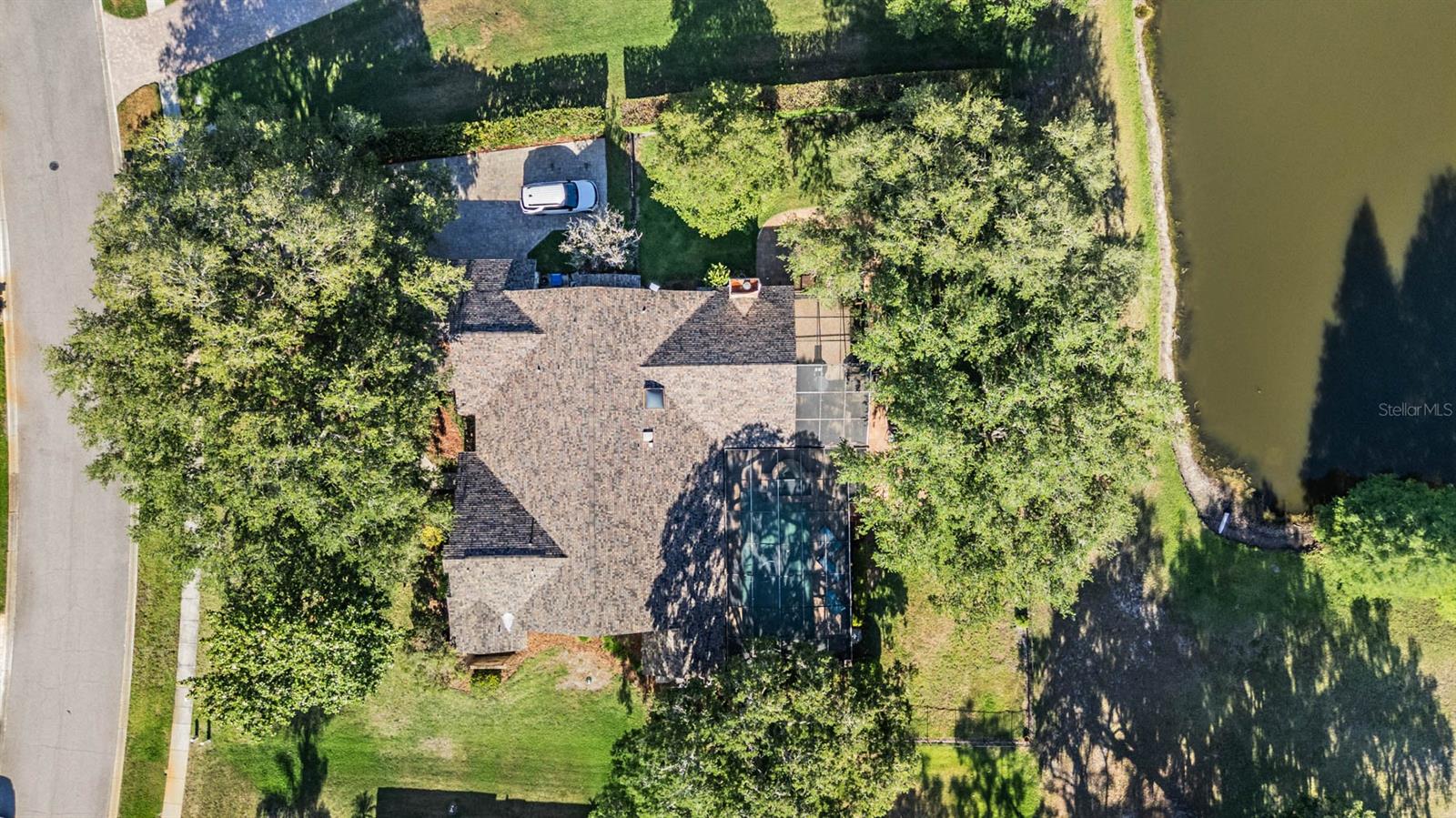 Tarpon Springs, Florida, 34688, United States, 4 Bedrooms Bedrooms, ,4 BathroomsBathrooms,Residential,Active,2044985