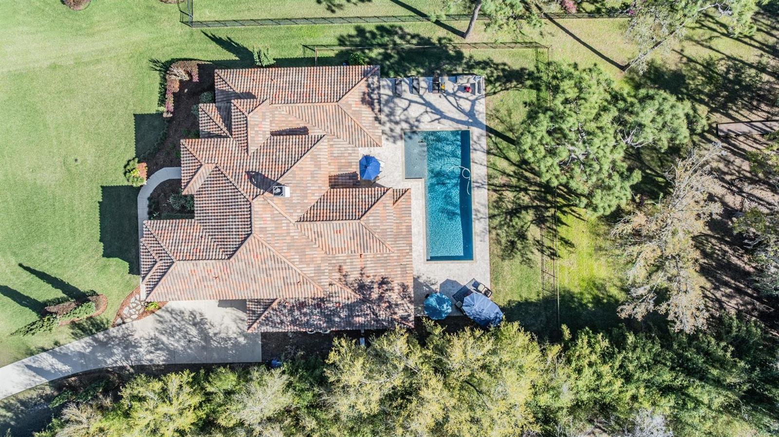 Odessa, Florida, 33556, United States, 5 Bedrooms Bedrooms, ,4 BathroomsBathrooms,Residential,Active,2017440