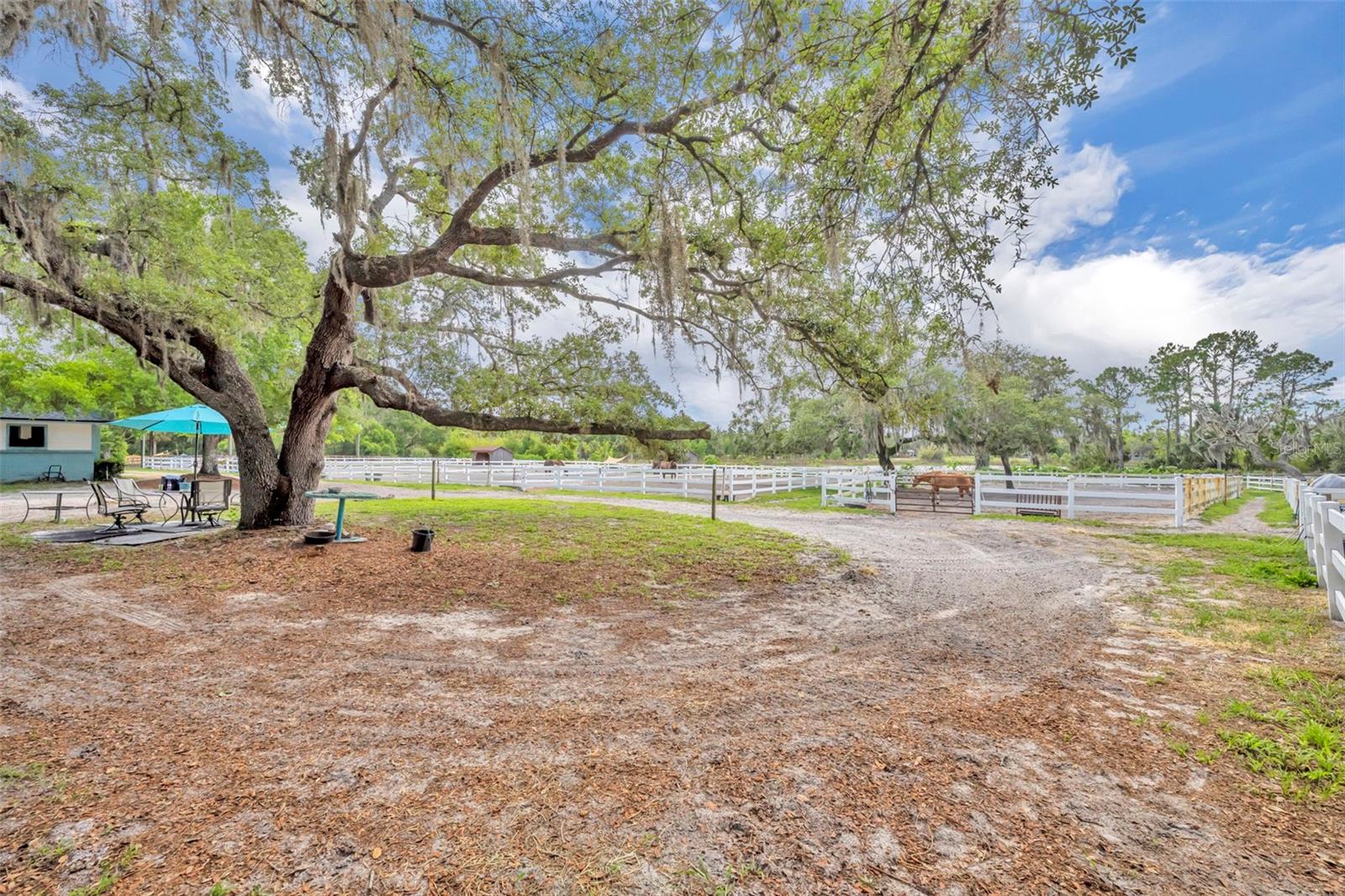 Geneva, Florida, 32732, United States, 5 Bedrooms Bedrooms, ,4 BathroomsBathrooms,Residential,Active,2044197