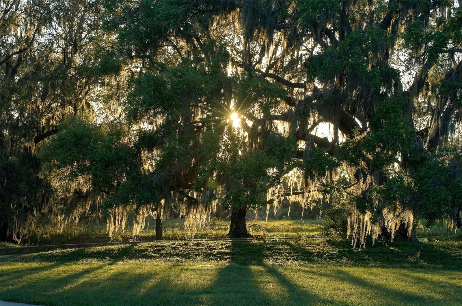 Sarasota, Florida, 34240, United States, 4 Bedrooms Bedrooms, ,5 BathroomsBathrooms,Residential,Active,1898192