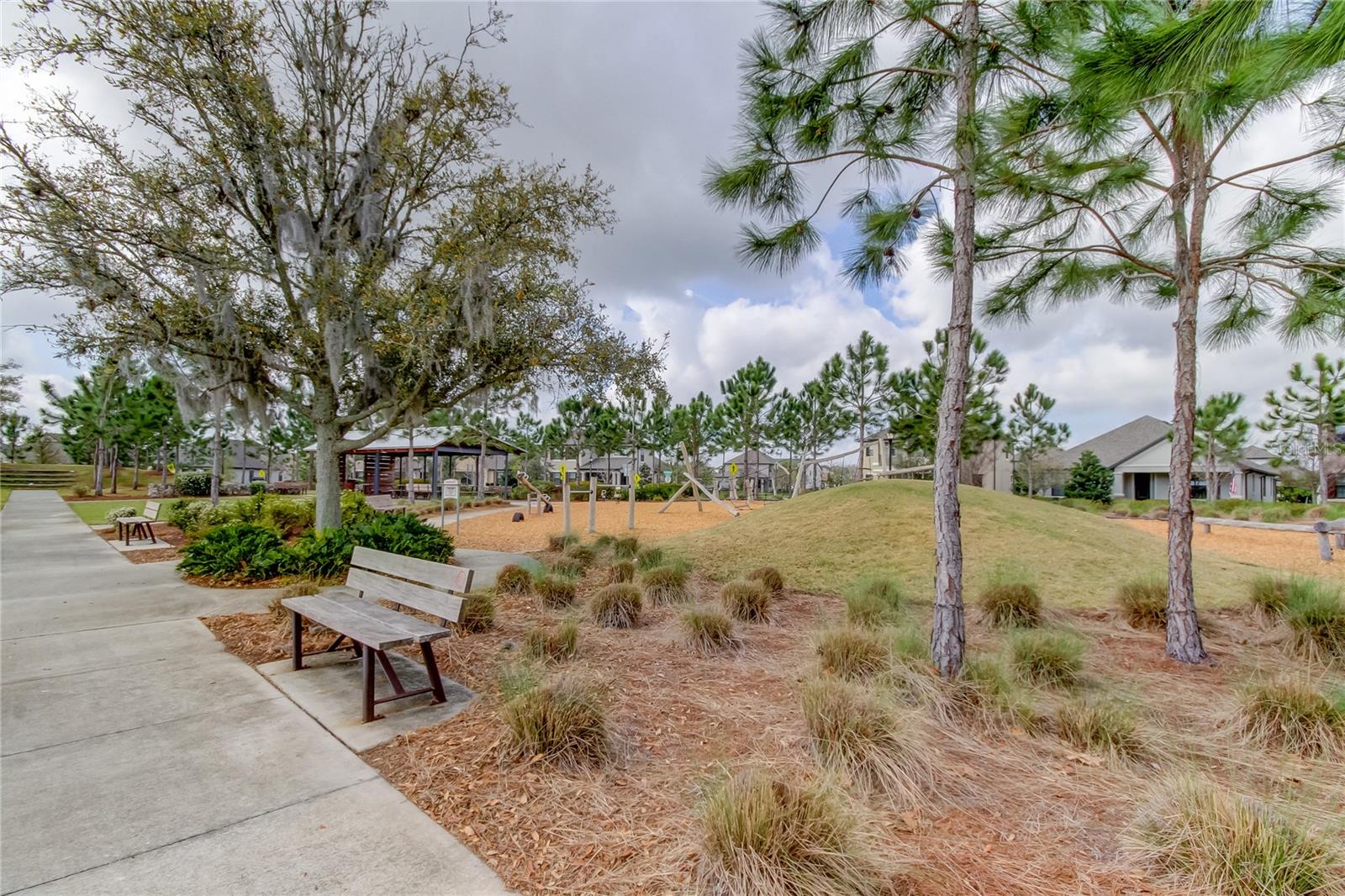 Odessa, Florida, 33556, United States, 5 Bedrooms Bedrooms, ,4 BathroomsBathrooms,Residential,Active,2045800