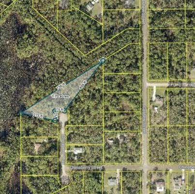 TBD CHINABERRY WAY, EUSTIS, FL 32736 - Image 1