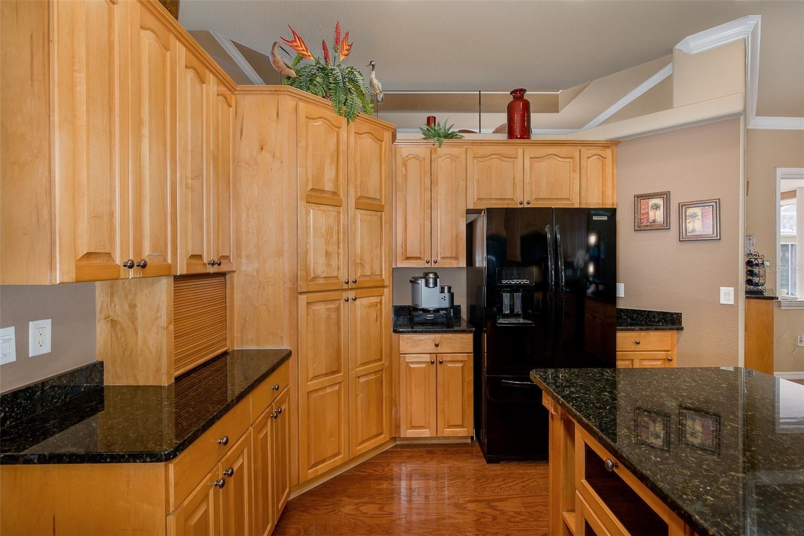 New Port Richey, Florida, 34655, United States, 4 Bedrooms Bedrooms, ,4 BathroomsBathrooms,Residential,Active,2011414