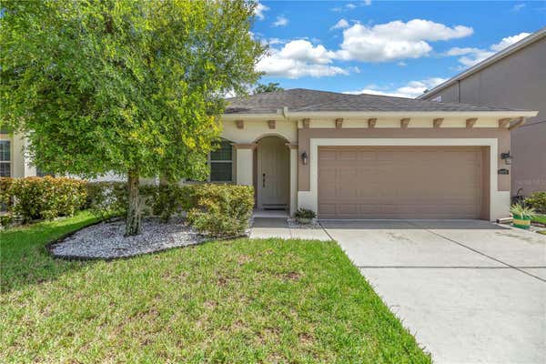 11405 QUIET FOREST DR, TAMPA, FL 33635 - Image 1