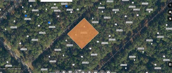 209 PARADISE BLVD, GEORGETOWN, FL 32139 - Image 1