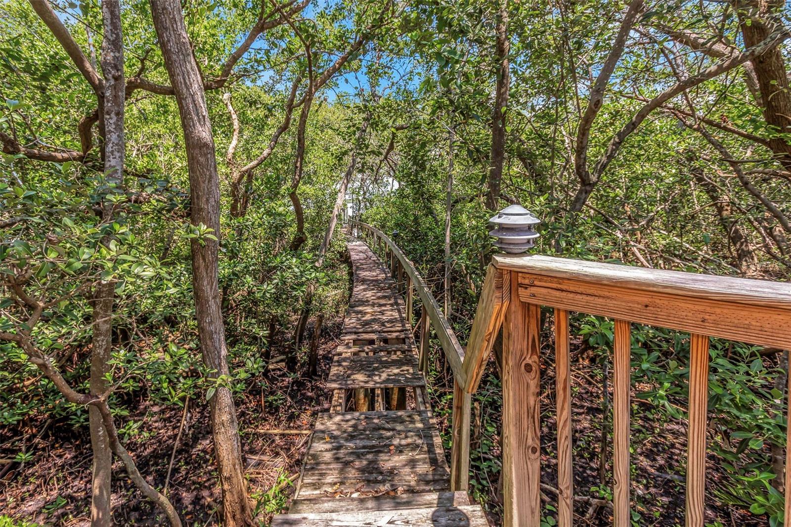 St Petersburg, Florida, 33702, United States, 5 Bedrooms Bedrooms, ,4 BathroomsBathrooms,Residential,Active,1920242