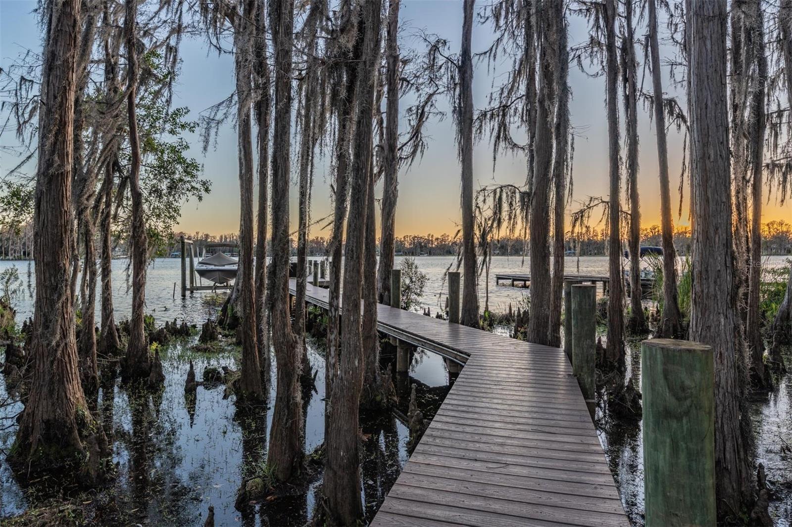 Odessa, Florida, 33556, United States, 5 Bedrooms Bedrooms, ,4 BathroomsBathrooms,Residential,Active,1797950