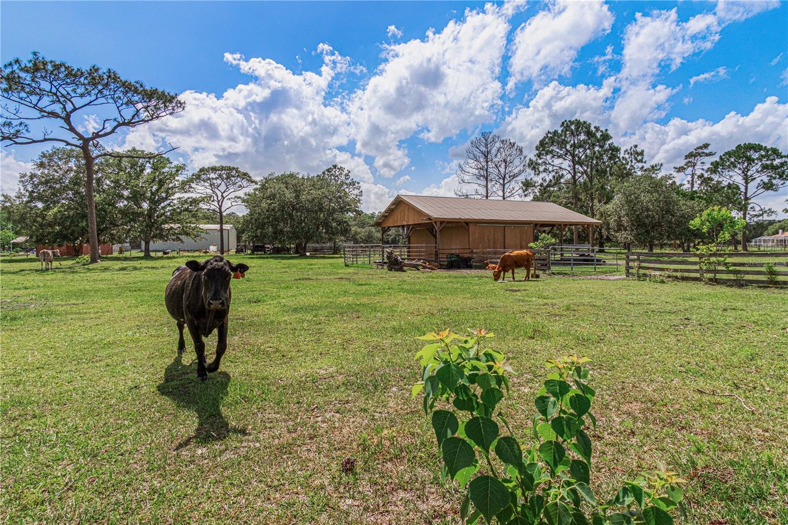 New Smyrna Beach, Florida, 32168, United States, 4 Bedrooms Bedrooms, ,4 BathroomsBathrooms,Residential,Active,2052065