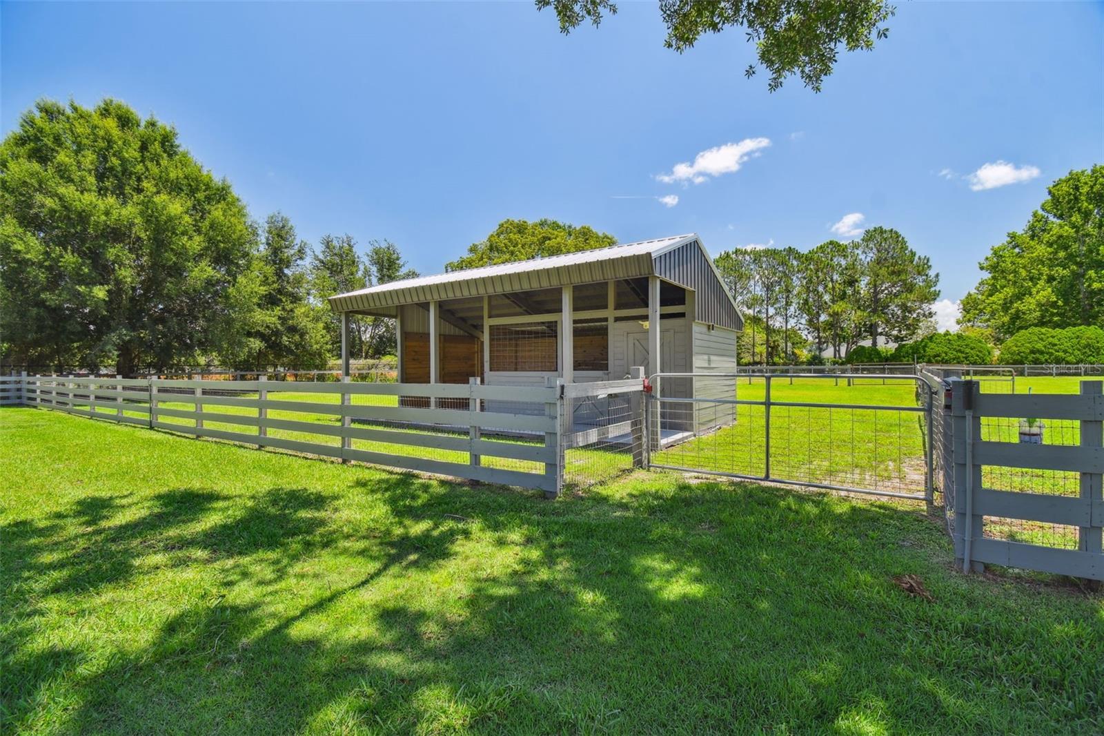 Odessa, Florida, 33556, United States, 5 Bedrooms Bedrooms, ,4 BathroomsBathrooms,Residential,Active,1884999