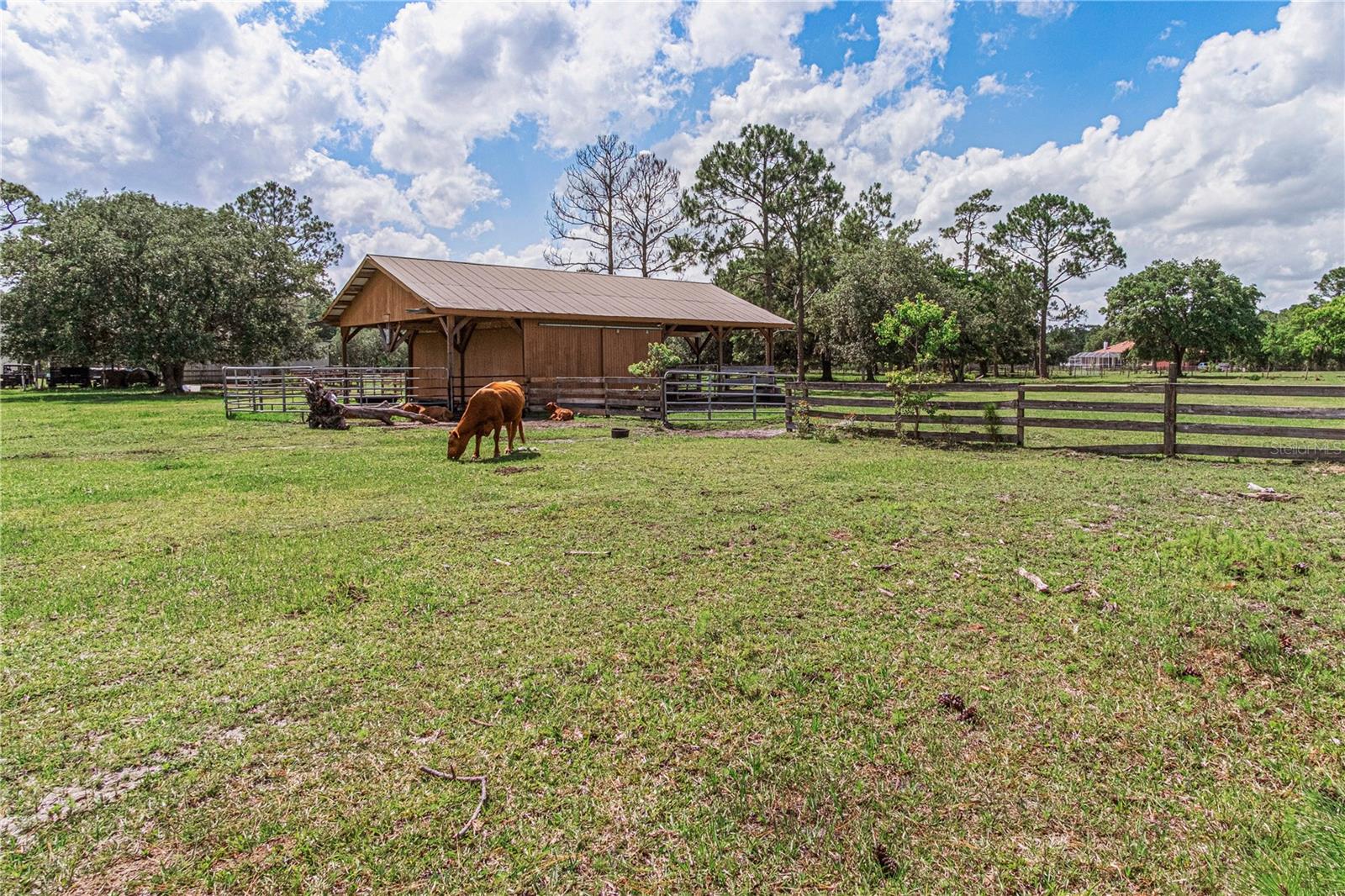 New Smyrna Beach, Florida, 32168, United States, 4 Bedrooms Bedrooms, ,4 BathroomsBathrooms,Residential,Active,2052065