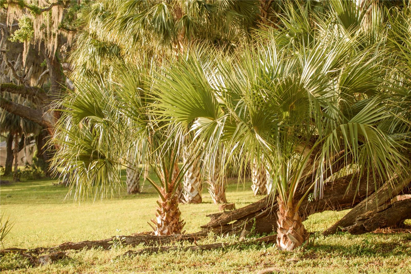 Gainesville, Florida, 32608, United States, 4 Bedrooms Bedrooms, ,3 BathroomsBathrooms,Residential,Active,1989761