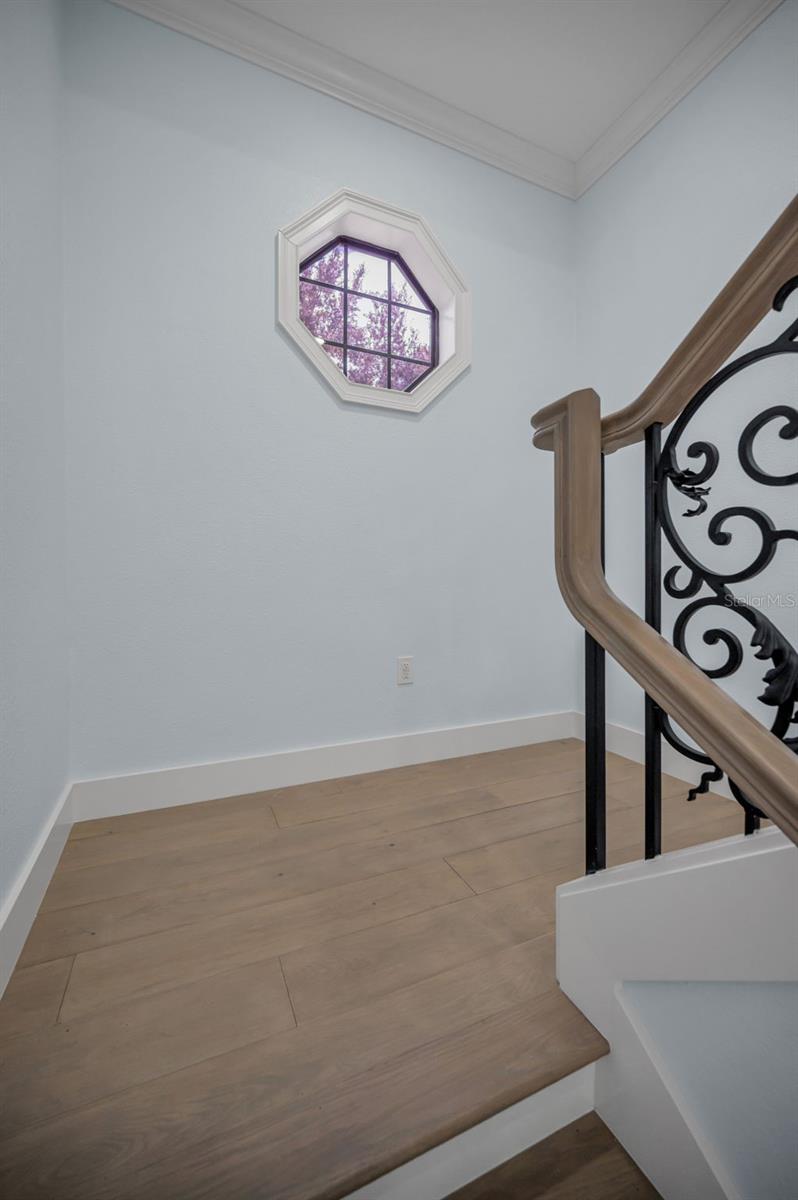 Trinity, Florida, 34655, United States, 4 Bedrooms Bedrooms, ,4 BathroomsBathrooms,Residential,Active,1900206