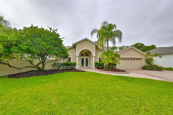 6508 STEEPLECHASE DR, TAMPA, FL 33625 - Image 1