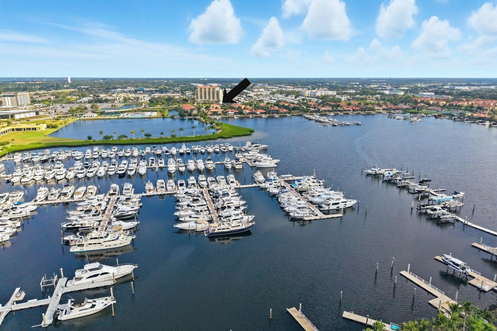 Palmetto, Florida, 34221, United States, 6 Bedrooms Bedrooms, ,6 BathroomsBathrooms,Residential,Active,1973552