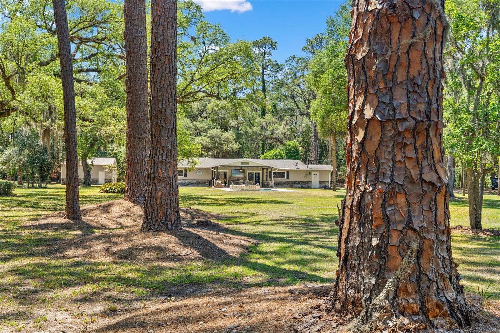 Crystal River, Florida, 34428, United States, 3 Bedrooms Bedrooms, ,3 BathroomsBathrooms,Residential,Active,2045556
