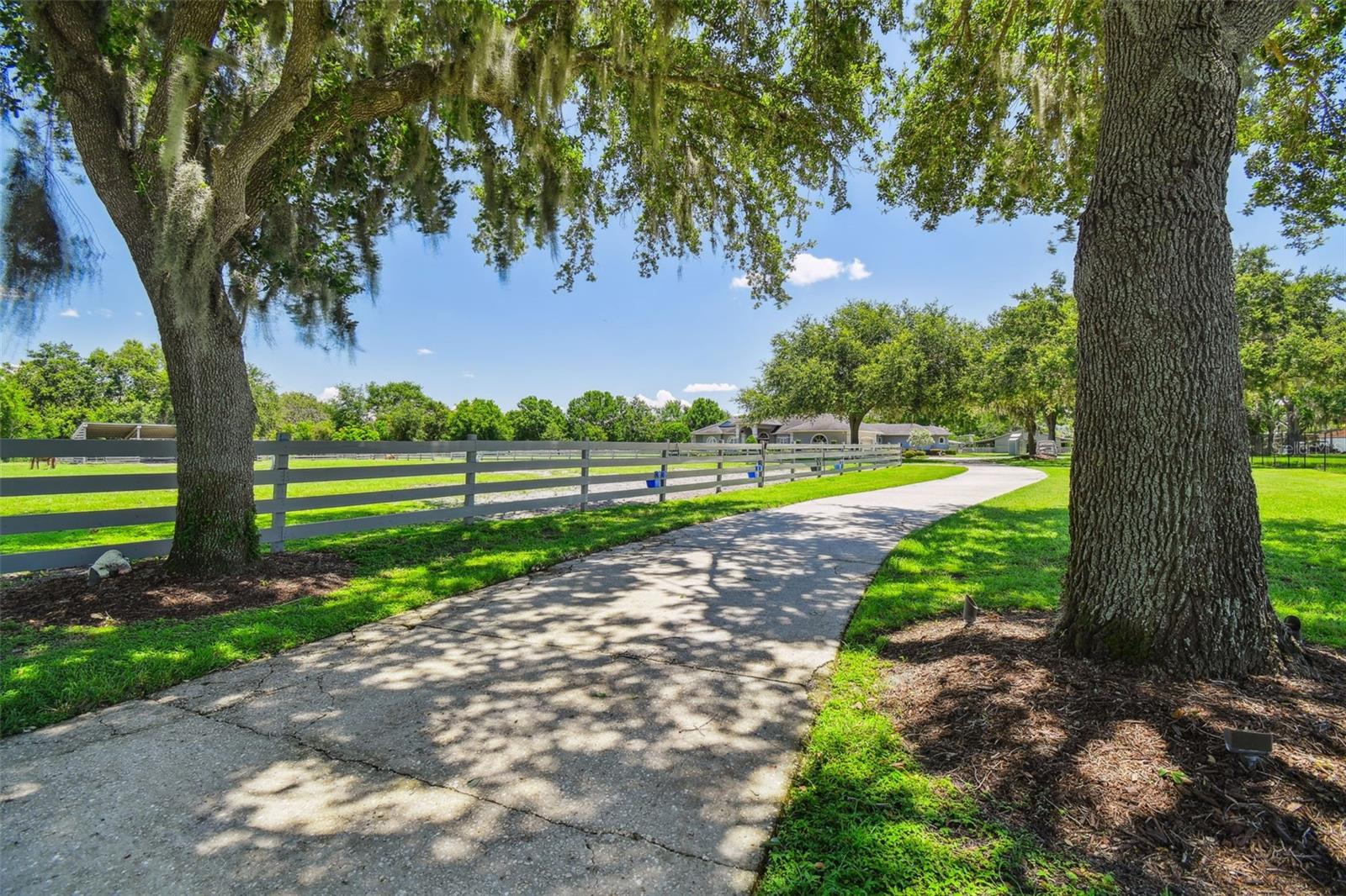 Odessa, Florida, 33556, United States, 5 Bedrooms Bedrooms, ,4 BathroomsBathrooms,Residential,Active,1884999
