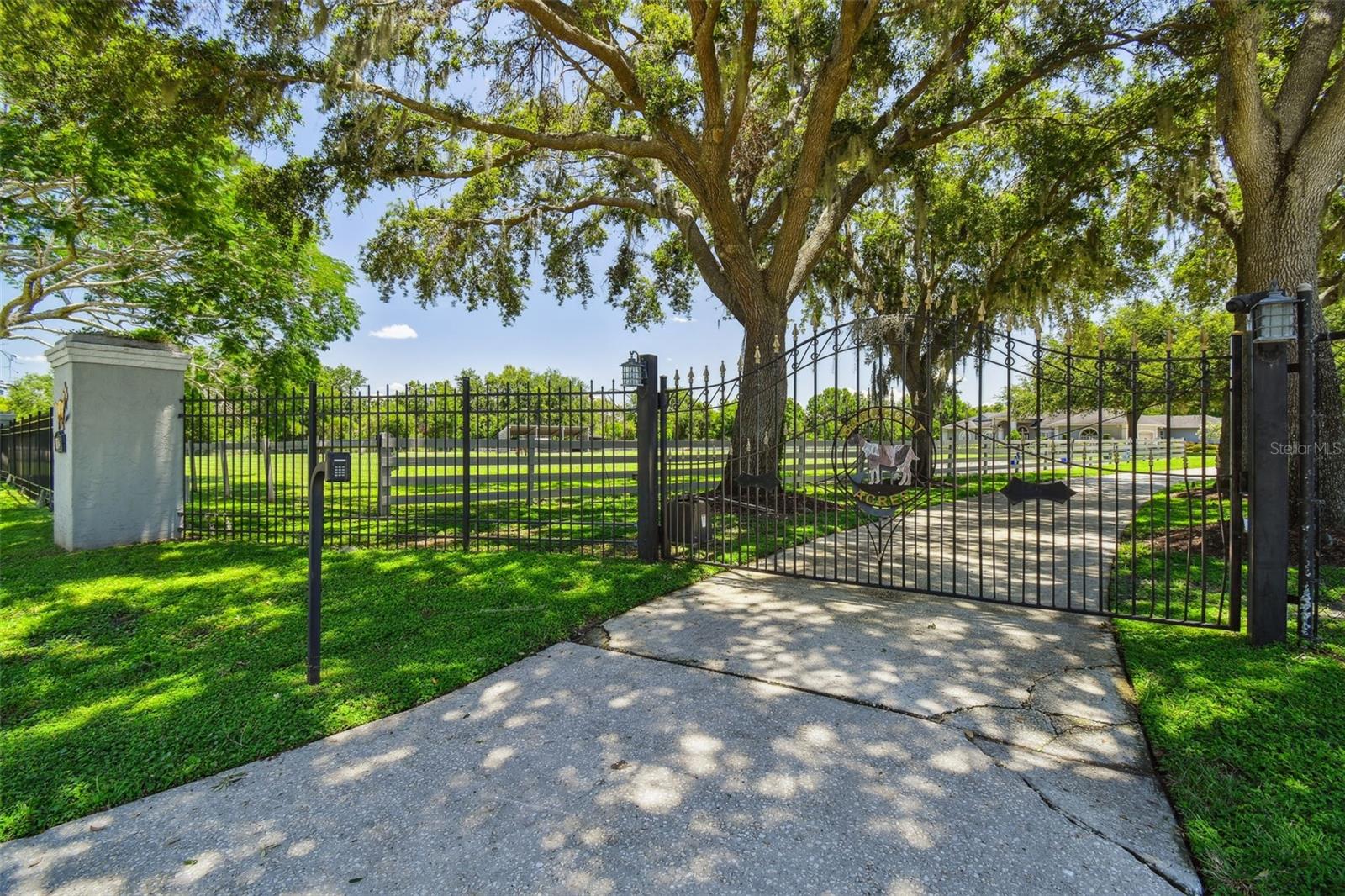 Odessa, Florida, 33556, United States, 5 Bedrooms Bedrooms, ,4 BathroomsBathrooms,Residential,Active,1884999