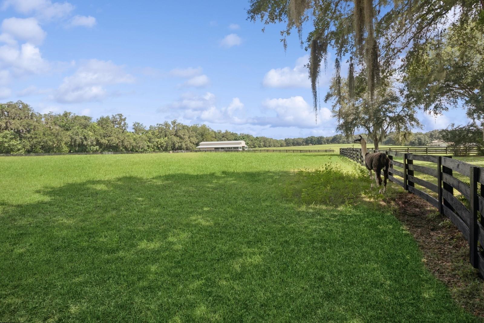 Fruitland Park, Florida, 34731, United States, 7 Bedrooms Bedrooms, ,6 BathroomsBathrooms,Residential,Active,1894791