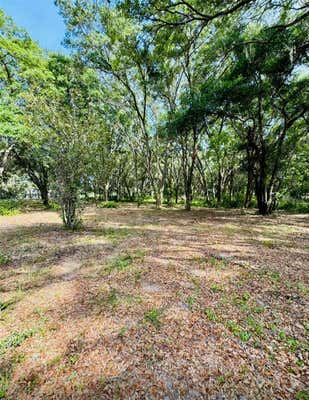 17122 SE 130TH AVE, WEIRSDALE, FL 32195 - Image 1