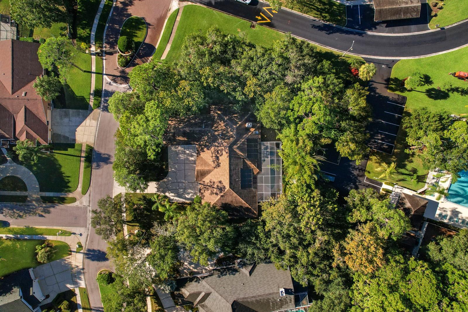 Oldsmar, Florida, 34677, United States, 5 Bedrooms Bedrooms, ,4 BathroomsBathrooms,Residential,Active,2009416