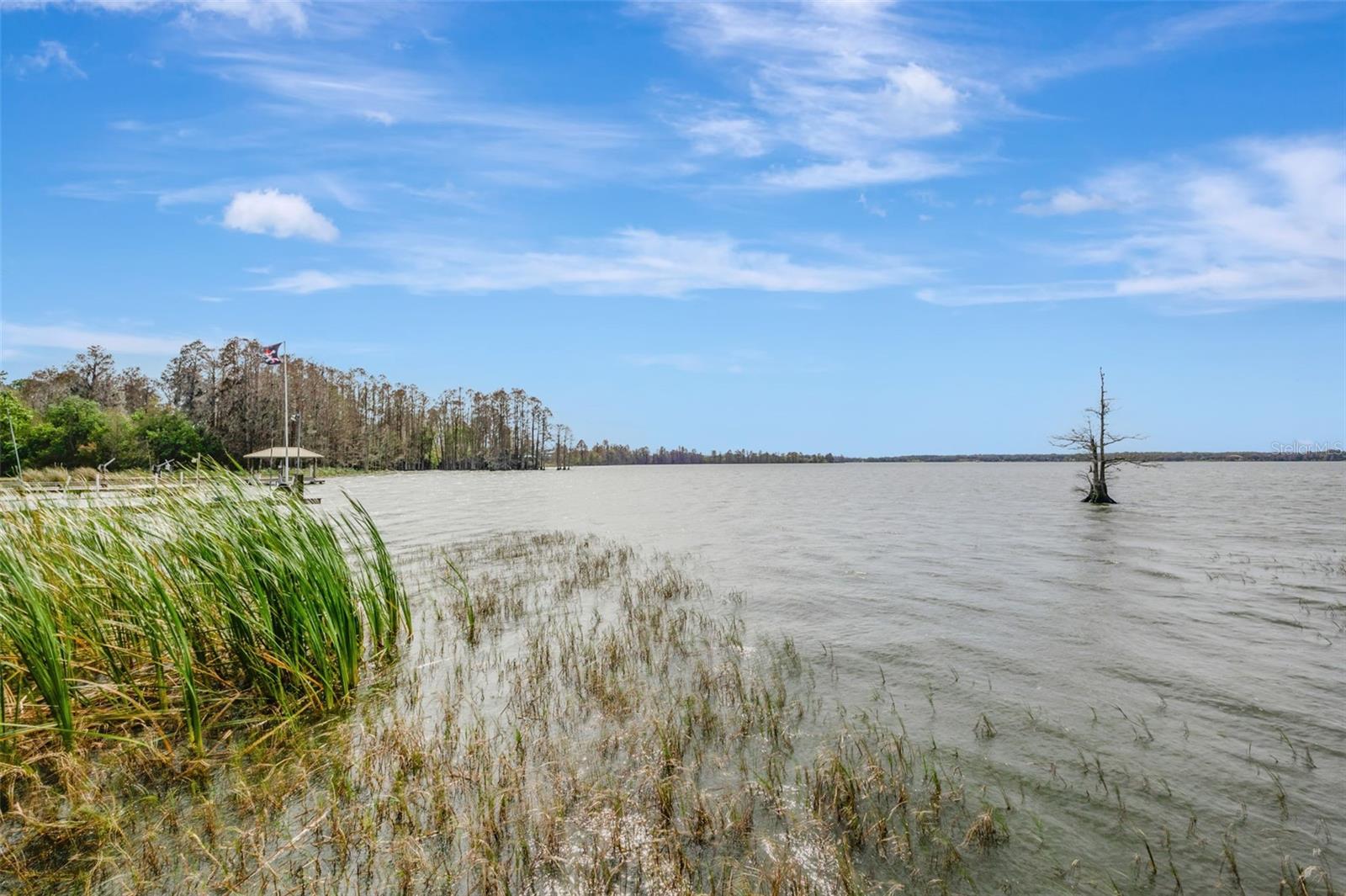 Thonotosassa, Florida, 33592, United States, 2 Bedrooms Bedrooms, ,2 BathroomsBathrooms,Residential,Active,1945271