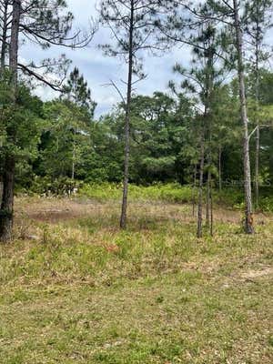 TBD 170TH SE AVENUE ROAD, OCKLAWAHA, FL 32179, photo 5 of 40