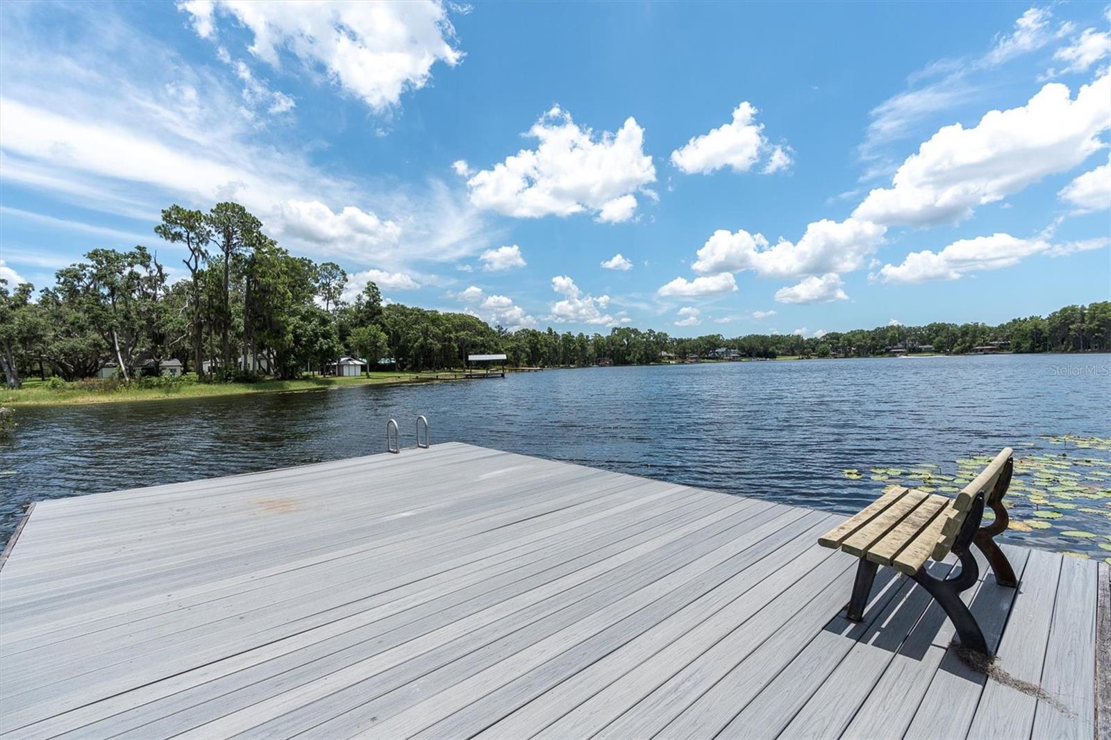 Odessa, Florida, 33556, United States, 4 Bedrooms Bedrooms, ,3 BathroomsBathrooms,Residential,Active,1871641