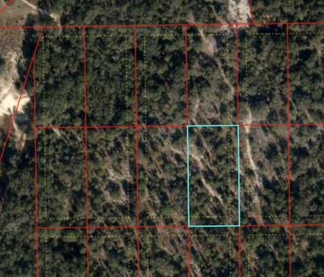 TBD NE 96 STREET, ARCHER, FL 32618 - Image 1